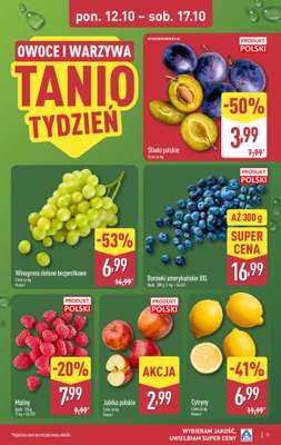 Aldi - gazetka promocyjna Pełny katalog! od poniedziałku 12.10 do soboty 17.10 - strona 3