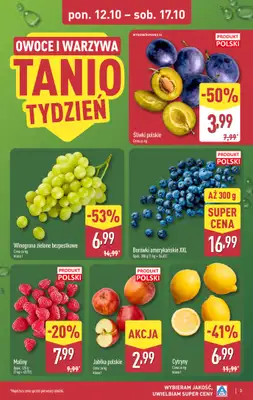 Aldi - gazetka promocyjna Pełny katalog! od poniedziałku 12.10 do soboty 17.10 - strona 3