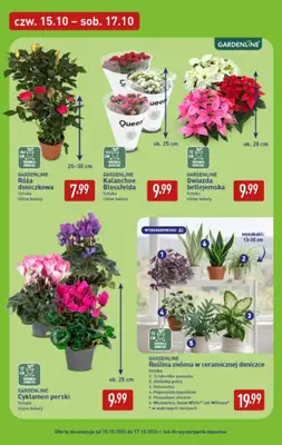 Aldi - gazetka promocyjna Pełny katalog! od poniedziałku 12.10 do soboty 17.10 - strona 45