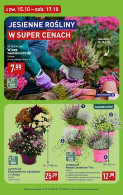 Aldi - gazetka promocyjna Pełny katalog! od poniedziałku 12.10 do soboty 17.10 - strona 44