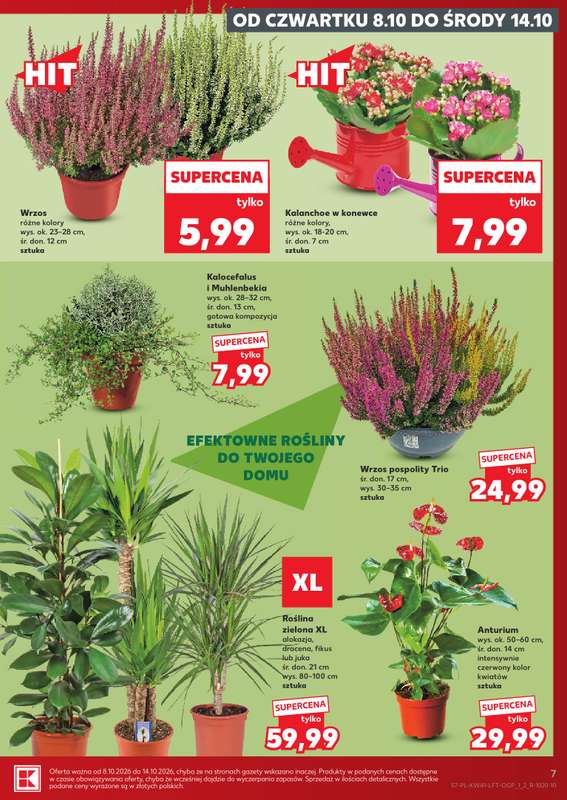 Kaufland - gazetka promocyjna Gazetka Tygodnia od czwartku 08.10 do środy 14.10 - strona 7