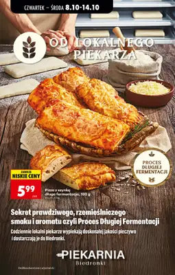 Biedronka - gazetka promocyjna Od czwartku od czwartku 08.10 do środy 14.10 - strona 41