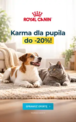 ERLI - gazetka promocyjna Gazetka od poniedziałku 12.10 do niedzieli 18.10 - strona 2