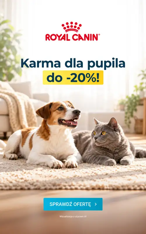 ERLI - gazetka promocyjna Gazetka od poniedziałku 12.10 do niedzieli 18.10 - strona 2