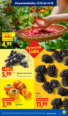 Lidl - gazetka promocyjna Od poniedziałku od poniedziałku 12.10 do środy 14.10 - strona 51