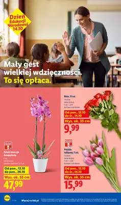 Lidl - gazetka promocyjna Od poniedziałku od poniedziałku 12.10 do środy 14.10 - strona 8