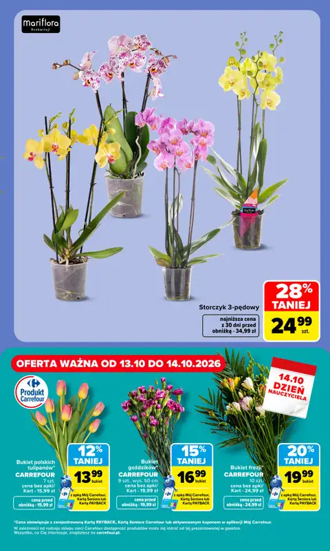 Carrefour - gazetka promocyjna W sumie idealne na Dzień Nauczyciela od poniedziałku 12.10 do środy 14.10 - strona 5