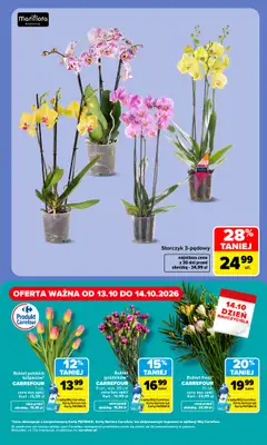 Carrefour Market - gazetka promocyjna W sumie idealne na Dzień Nauczyciela od poniedziałku 12.10 do środy 14.10 - strona 5