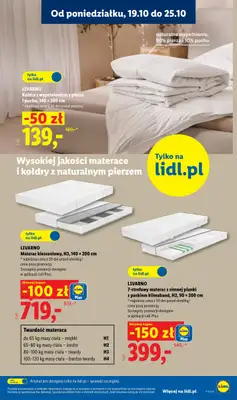 Lidl - gazetka promocyjna Katalog od poniedziałku 19.10 do soboty 24.10 - strona 31