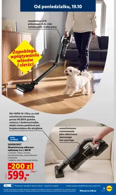 Lidl - gazetka promocyjna Katalog od poniedziałku 19.10 do soboty 24.10 - strona 9