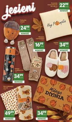 Delikatesy Centrum - gazetka promocyjna Gazetka od czwartku 15.10 do środy 21.10 - strona 37