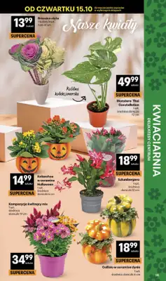 Delikatesy Centrum - gazetka promocyjna Gazetka od czwartku 15.10 do środy 21.10 - strona 35