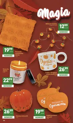 Delikatesy Centrum - gazetka promocyjna Gazetka od czwartku 15.10 do środy 21.10 - strona 36