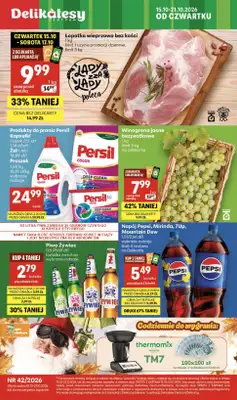 Delikatesy Centrum - gazetka promocyjna Gazetka od czwartku 15.10 do środy 21.10