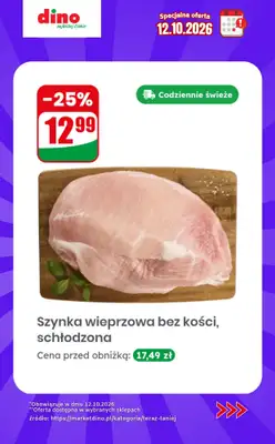 Dino - gazetka promocyjna Specjalna oferta na 12.10.2026 - promocje spoza gazetki od poniedziałku 12.10 do poniedziałku 12.10 - strona 10