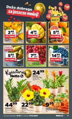 Netto - gazetka promocyjna Gazetka Spożywcza od poniedziałku 12.10 do soboty 17.10 - strona 7