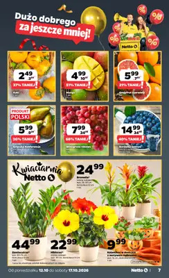 Netto - gazetka promocyjna Gazetka Spożywcza od poniedziałku 12.10 do soboty 17.10 - strona 7