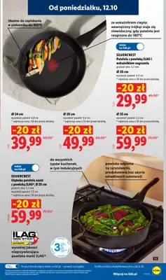 Lidl - gazetka promocyjna Od poniedziałku od poniedziałku 12.10 do środy 14.10 - strona 47