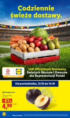 Lidl - gazetka promocyjna Od poniedziałku od poniedziałku 12.10 do środy 14.10 - strona 48
