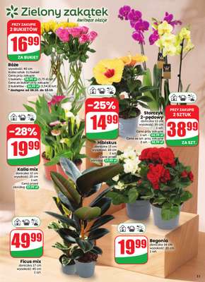 Dino - gazetka promocyjna Gazetka 41 / 2026 od środy 07.10 do wtorku 13.10 - strona 11