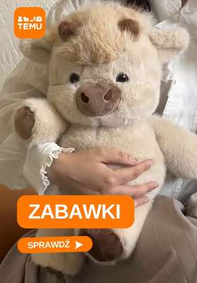 Temu - gazetka promocyjna Zabawki dla najmłodszych od poniedziałku 12.10 