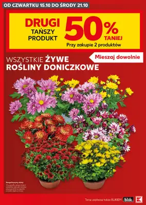 Kaufland - gazetka promocyjna Katalog znicze od czwartku 15.10 do środy 21.10 - strona 18