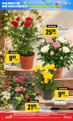 POLOmarket - gazetka promocyjna Gazetka od środy 14.10 do wtorku 20.10 - strona 16