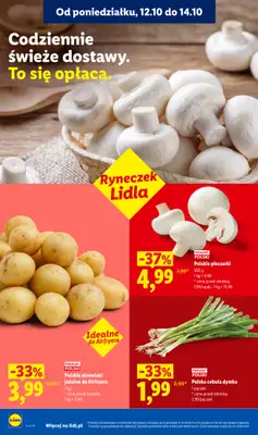 Lidl - gazetka promocyjna Od poniedziałku od poniedziałku 12.10 do środy 14.10 - strona 50