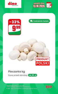 Dino - gazetka promocyjna Specjalna oferta na 13.10.2026 - promocje spoza gazetki od wtorku 13.10 do wtorku 13.10 - strona 10
