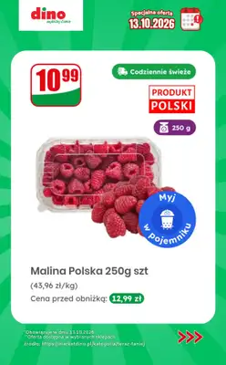 Dino - gazetka promocyjna Specjalna oferta na 13.10.2026 - promocje spoza gazetki od wtorku 13.10 do wtorku 13.10 - strona 5