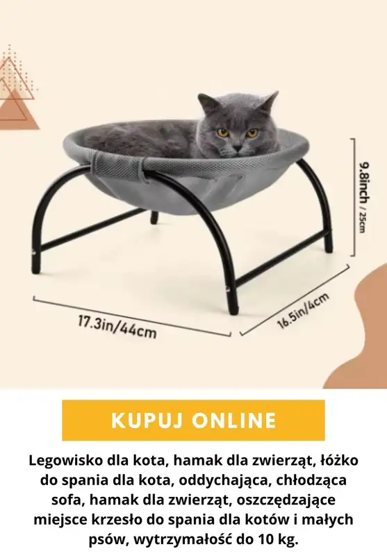 AliExpress - gazetka promocyjna Produkty dla zwierząt od wtorku 13.10  - strona 7