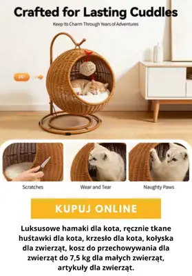 AliExpress - gazetka promocyjna Produkty dla zwierząt od wtorku 13.10  - strona 4