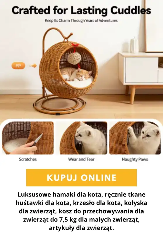 AliExpress - gazetka promocyjna Produkty dla zwierząt od wtorku 13.10  - strona 4
