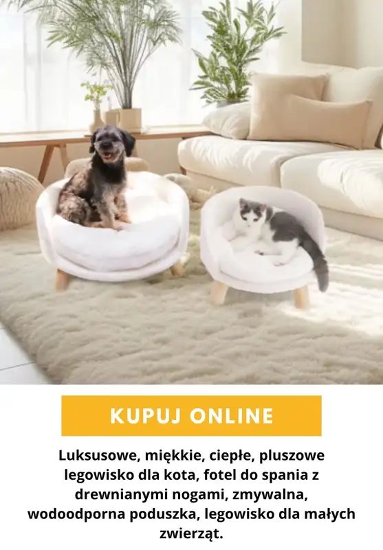 AliExpress - gazetka promocyjna Produkty dla zwierząt od wtorku 13.10  - strona 2