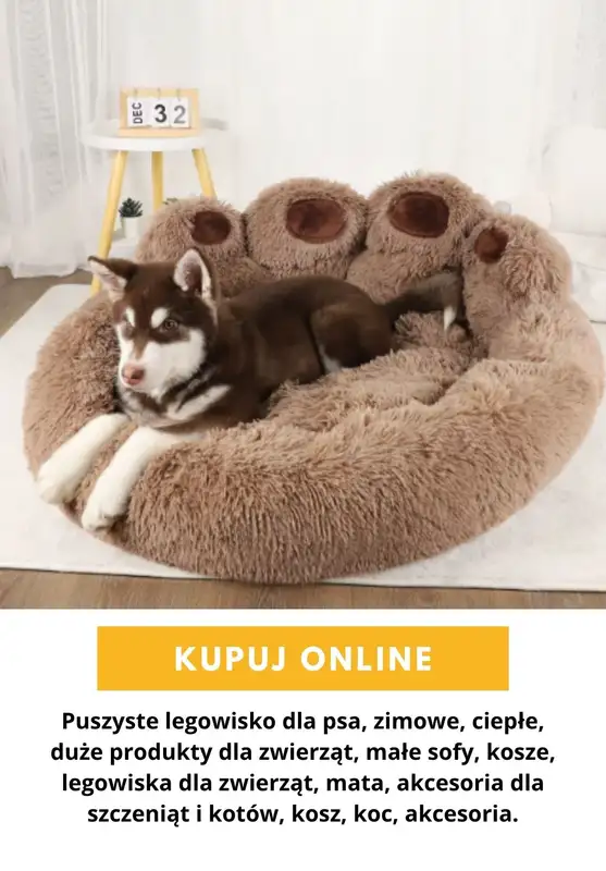AliExpress - gazetka promocyjna Produkty dla zwierząt od wtorku 13.10  - strona 10