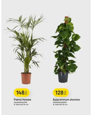 Castorama - gazetka promocyjna Ogród, na specjalne okazje od środy 14.10 do środy 21.10 - strona 12