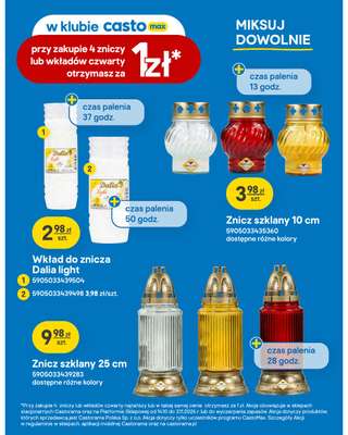 Castorama - gazetka promocyjna Ogród, na specjalne okazje od środy 14.10 do środy 21.10 - strona 15