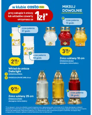 Castorama - gazetka promocyjna Ogród, na specjalne okazje od środy 14.10 do środy 21.10 - strona 15