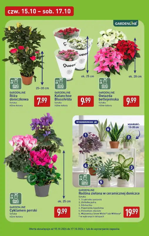 Aldi - gazetka promocyjna Pełny katalog! od poniedziałku 12.10 do soboty 17.10 - strona 45