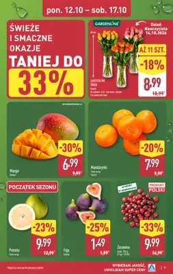 Aldi - gazetka promocyjna Pełny katalog! od poniedziałku 12.10 do soboty 17.10 - strona 5