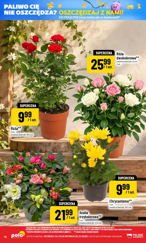 POLOmarket - gazetka promocyjna Gazetka od środy 14.10 do wtorku 20.10 - strona 16