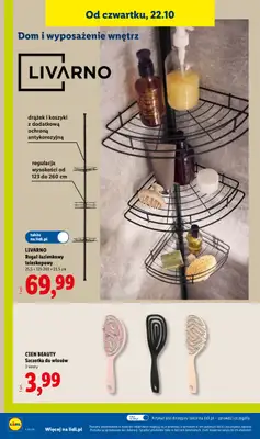 Lidl - gazetka promocyjna Katalog od poniedziałku 19.10 do soboty 24.10 - strona 42