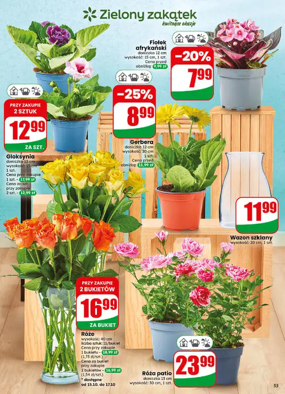 Dino - gazetka promocyjna Gazetka 42 / 2026 od środy 14.10 do wtorku 20.10 - strona 55