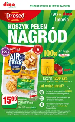 Dino - gazetka promocyjna MEGA promocje! od środy 14.10 do wtorku 20.10 - strona 10