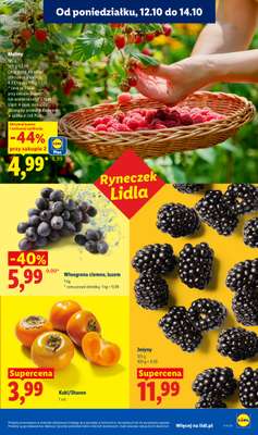 Lidl - gazetka promocyjna Od poniedziałku od poniedziałku 12.10 do środy 14.10 - strona 51