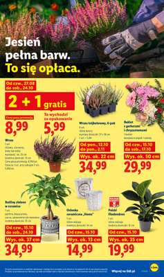 Lidl - gazetka promocyjna Oferta od czwartku od czwartku 15.10 do soboty 17.10 - strona 107
