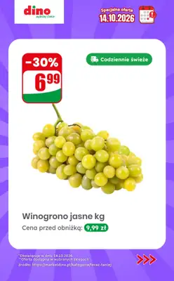 Dino - gazetka promocyjna Specjalna oferta na 14.10.2026 - promocje spoza gazetki od środy 14.10 do środy 14.10 - strona 8