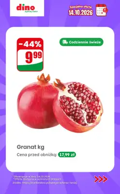 Dino - gazetka promocyjna Specjalna oferta na 14.10.2026 - promocje spoza gazetki od środy 14.10 do środy 14.10 - strona 10