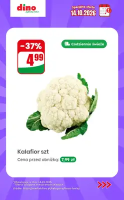 Dino - gazetka promocyjna Specjalna oferta na 14.10.2026 - promocje spoza gazetki od środy 14.10 do środy 14.10 - strona 9