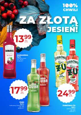 Duży Ben - gazetka promocyjna Gazetka alkoholowa od czwartku 15.10 do środy 28.10 - strona 28